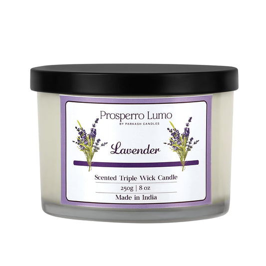 3 Wick Soy Wax Scented Candle | 35 Hours Burn Time | Long Lasting Premium Candles | Ideal for Home Décor, Gifting & Aromatherapy (Lavender)