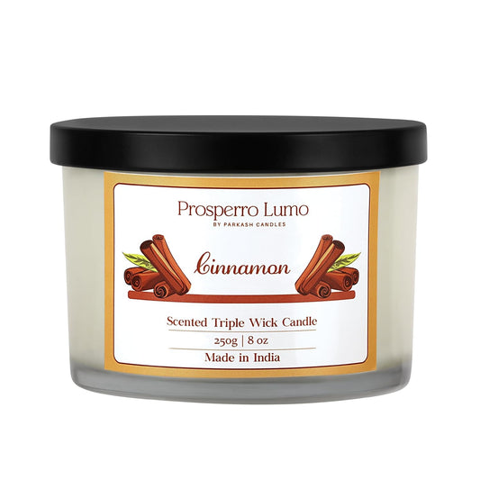3 Wick Soy Wax Scented Candle | 35 Hours Burn Time | Long Lasting Premium Candles | Ideal for Home Décor, Gifting & Aromatherapy (Cinnamon)