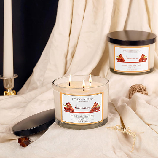 3 Wick Soy Wax Scented Candle | 35 Hours Burn Time | Long Lasting Premium Candles | Ideal for Home Décor, Gifting & Aromatherapy (Cinnamon)